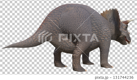 三角龍 三角龍 131744236