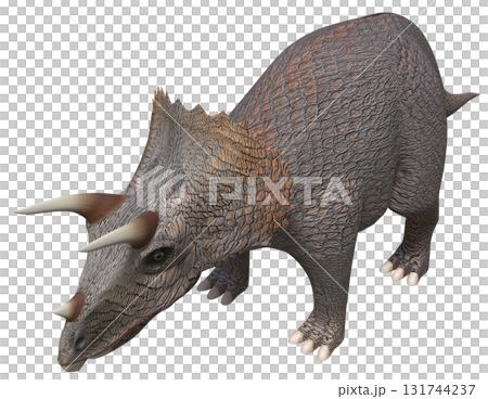 Triceratops Triceratops 131744237