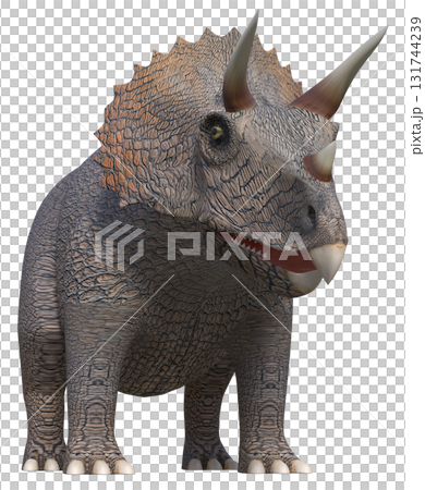 Triceratops Triceratops 131744239