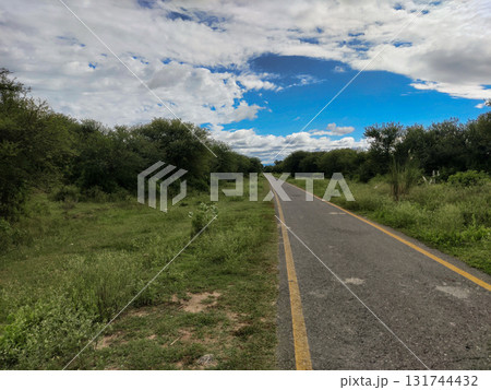 Countryside Road Leading Through Lush Green Forest Under Partly Cloudy Sky on Peaceful Summer Afternoon 131744432