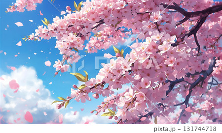 明るい青空にピンク色の美しい桜のイラスト 131744718