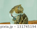 A curious cat with a bell collar is looking around 131745194