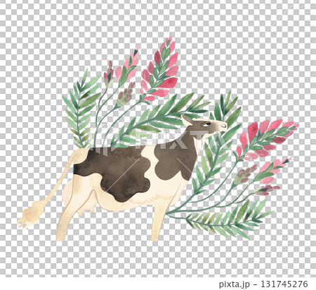 Holstein Friesian Cow is dairy cattle. Cow in a composition of meadow grasses and flowers. Isolated watercolor illustration in retro style for packaging, children's book and encyclopedia. Clipart. 131745276