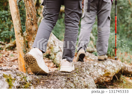 Close up of hiker walking on tree trunk in forest, symbol of adventure, exploration, balance, outdoor lifestyle, trekking, challenge and journey through nature with hiking boots. hiking adventure 131745333