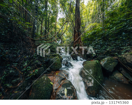 Small streams and waterfalls in a lush forest. Nature and environmental images. Small streams and waterfalls in a lush forest. Nature and environmental images. 131745360