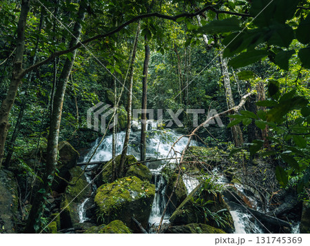 Small streams and waterfalls in a lush forest. Nature and environmental images. 131745369