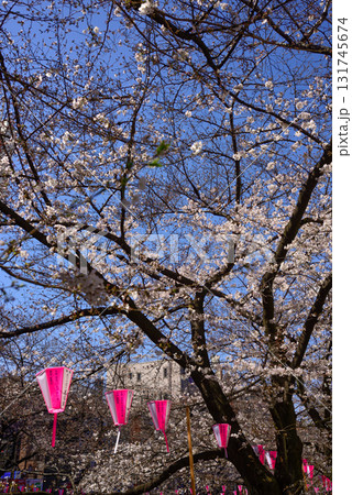 目黒川　桜まつり 131745674