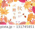 秋の贈り物　イメージイラスト 131745851