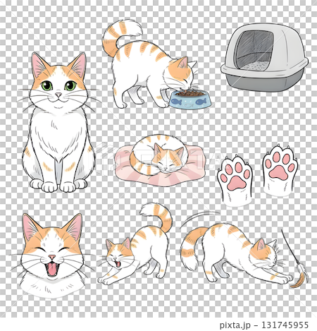 Set of cat character. illustration design. 131745955
