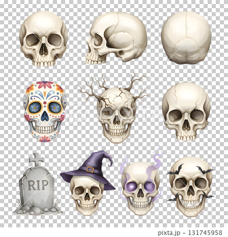 human skulls set. Watercolour illustration design human skulls set. Watercolour illustration design 131745958