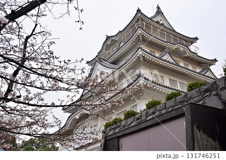 千葉市立郷土博物館(千葉城)の桜 千葉市立郷土博物館(千葉城)の桜 131746251