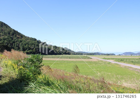 秋の田舎とススキ 秋の田舎とススキ 131746265