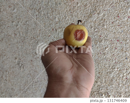 Close up of olive toned hand gently cradling yellow apple with brown core on deep warm wooden background Close up of olive toned hand gently cradling yellow apple with brown core on deep warm wooden background 131746409