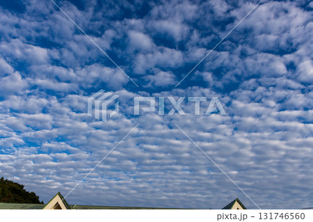 早朝に現れた高積雲 早朝に現れた高積雲 131746560