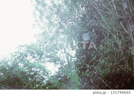 車窓から粉雪の降り始め 131746693