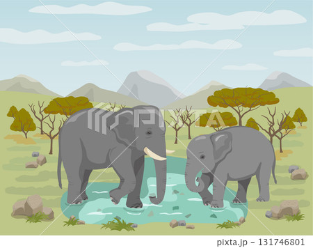 象とサバンナ 131746801