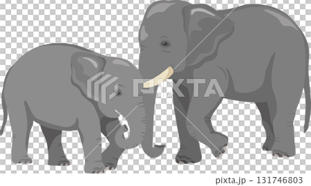 Parent and child elephants, left and right reversed 131746803