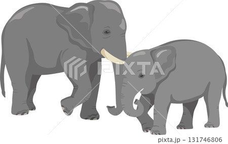 親子の象 親子の象 131746806