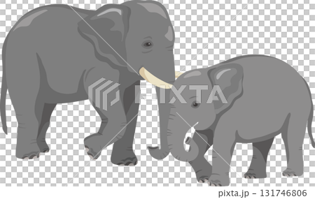 親子の象 親子の象 131746806