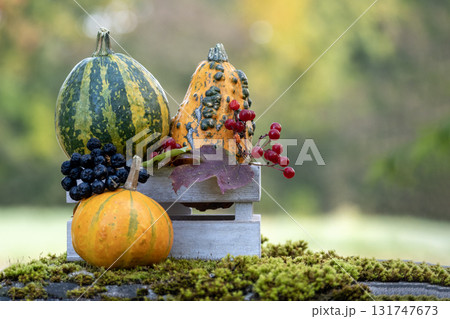Autumn Harvest Still Life With Pumpkins, Gourd, Berries On Rustic Wooden Crate 131747673