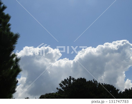 九月の稲毛海岸上空の青い空と白い雲 131747783