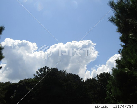 九月の稲毛海岸上空の青い空と白い雲 九月の稲毛海岸上空の青い空と白い雲 131747784