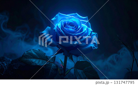 月光のブルーローズ 月光のブルーローズ 131747795