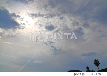 雲の多い空 太陽 木 雲の多い空 太陽 木 131747800