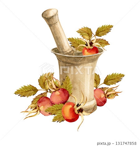 An antique bronze mortar and pestle for grinding medicinal herbs. Autumn rose hips, ingredient for medicinal tea. Watercolor clip art for herbal tea packaging in a retro style. Wild rose. 131747858