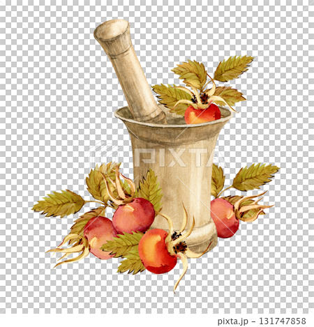 An antique bronze mortar and pestle for grinding medicinal herbs. Autumn rose hips, ingredient for medicinal tea. Watercolor clip art for herbal tea packaging in a retro style. Wild rose. 131747858