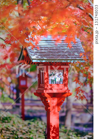 真っ赤な紅葉 真っ赤な紅葉 131748033