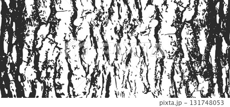 Tree bark texture Tree bark texture 131748053