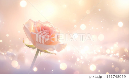 光の中の薔薇 131748059