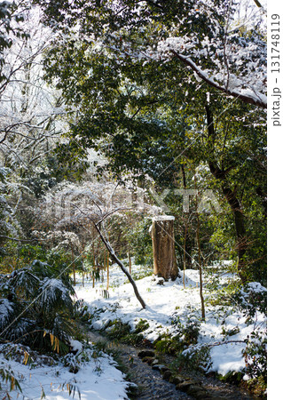 雪の糺の森 131748119