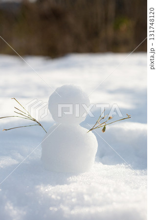 雪だるま 131748120