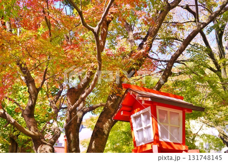 篠栗　源光山　明石寺の紅葉 131748145