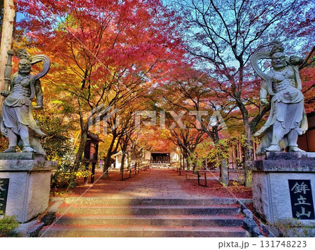 篠栗呑山観音寺 天王院の紅葉 篠栗呑山観音寺 天王院の紅葉 131748223
