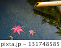 水面に浮かぶ紅葉 131748585