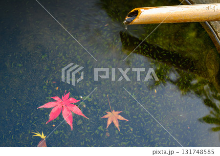 水面に浮かぶ紅葉 水面に浮かぶ紅葉 131748585