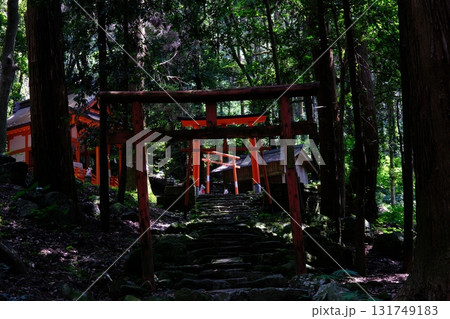 木々の奥に見える神聖な鳥居 木々の奥に見える神聖な鳥居 131749183