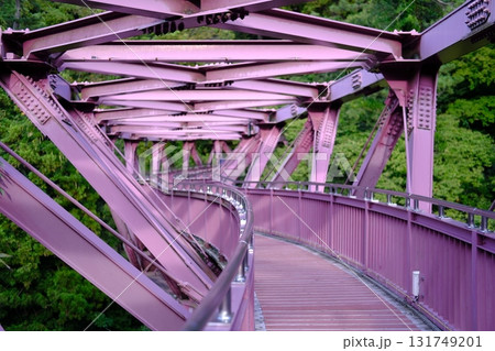 鶴仙渓のあやとりはし 鶴仙渓のあやとりはし 131749201