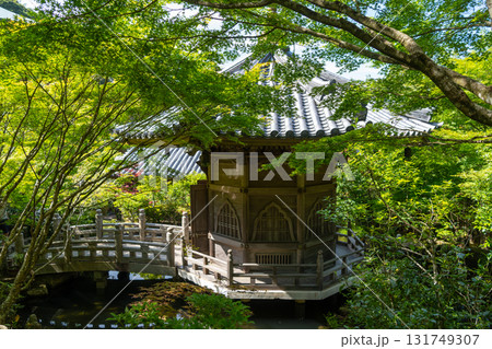 Wooden pavilion at Daisho-in Temple, Miyajima Island, Japan 131749307