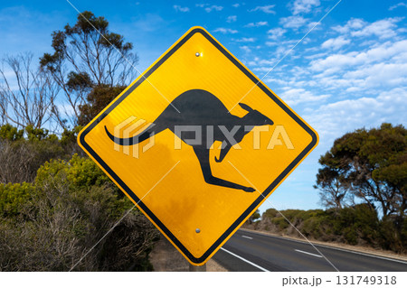 Kangaroo crossing warning sign along a rural road, Australia 131749318