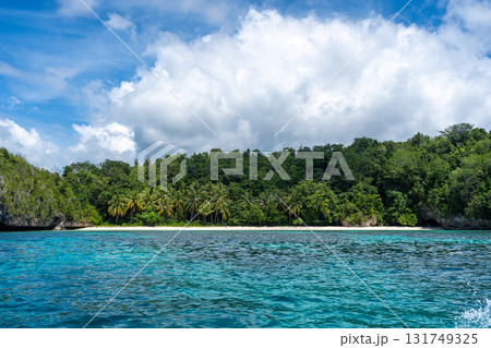 Paradise beach and island, Togian Islands, Sulawesi, Indonesia Paradise beach and island, Togian Islands, Sulawesi, Indonesia 131749325