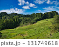 棚田をみあげた風景 131749618