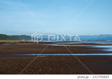 Expansive sandy shoreline with seabirds and mountains Expansive sandy shoreline with seabirds and mountains 131749885