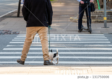 a man with a dog and a man with an electric scooter at a pedestrian crossing, lower section 131750006