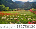 彼岸花咲く里山風景 131750120