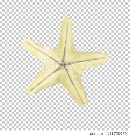 Yellow starfish watercolor illustration, hand drawn coastal clipart. Ideal for nautical invitations, textiles, wrapping paper, summer stationery, posters, stickers, and digital scrapbooking projects 131750979
