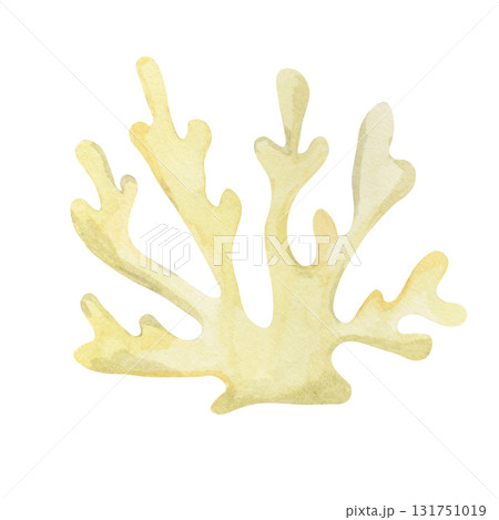 Yellow coral watercolor clipart, hand drawn marine element. Perfect for nautical stationery, wedding invitations, fabric prints, kids decor, summer wrapping paper, and decorative merchandise 131751019